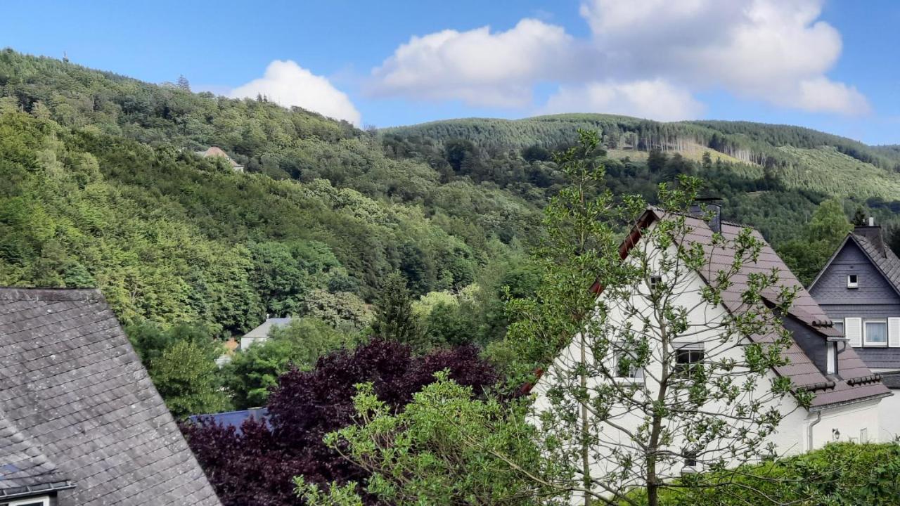 Yalet Ferienhaus 2 Appartementen Vlakbij Willingen Brilon-Wald المظهر الخارجي الصورة
