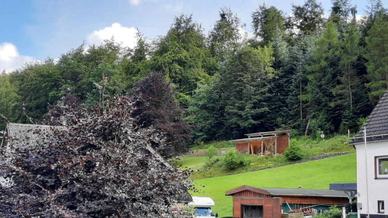 Yalet Ferienhaus 2 Appartementen Vlakbij Willingen Brilon-Wald المظهر الخارجي الصورة