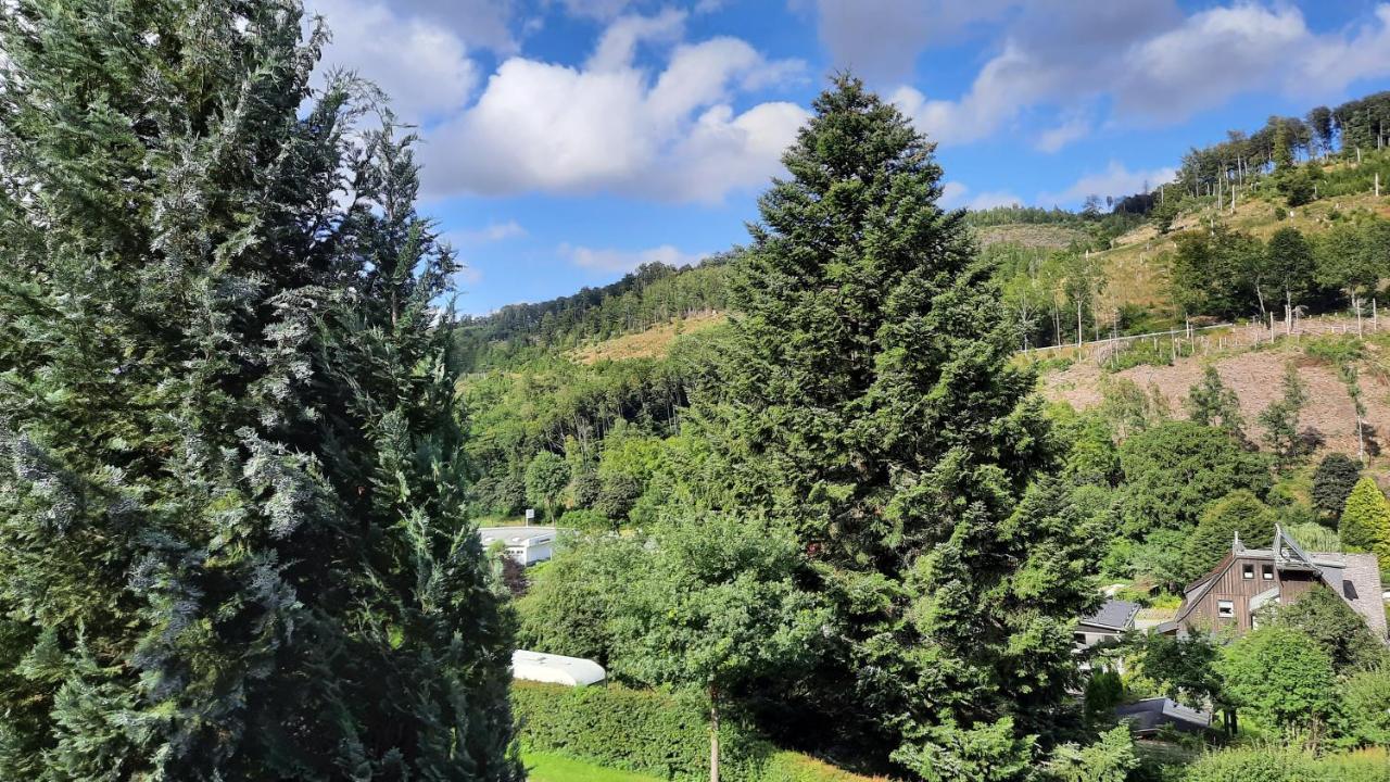 Yalet Ferienhaus 2 Appartementen Vlakbij Willingen Brilon-Wald المظهر الخارجي الصورة