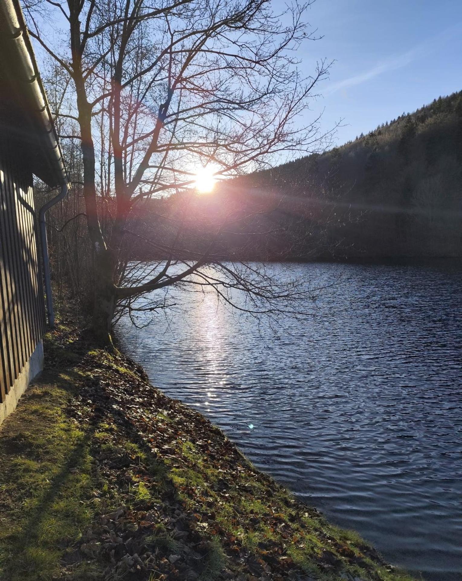Yalet Ferienhaus 2 Appartementen Vlakbij Willingen Brilon-Wald المظهر الخارجي الصورة
